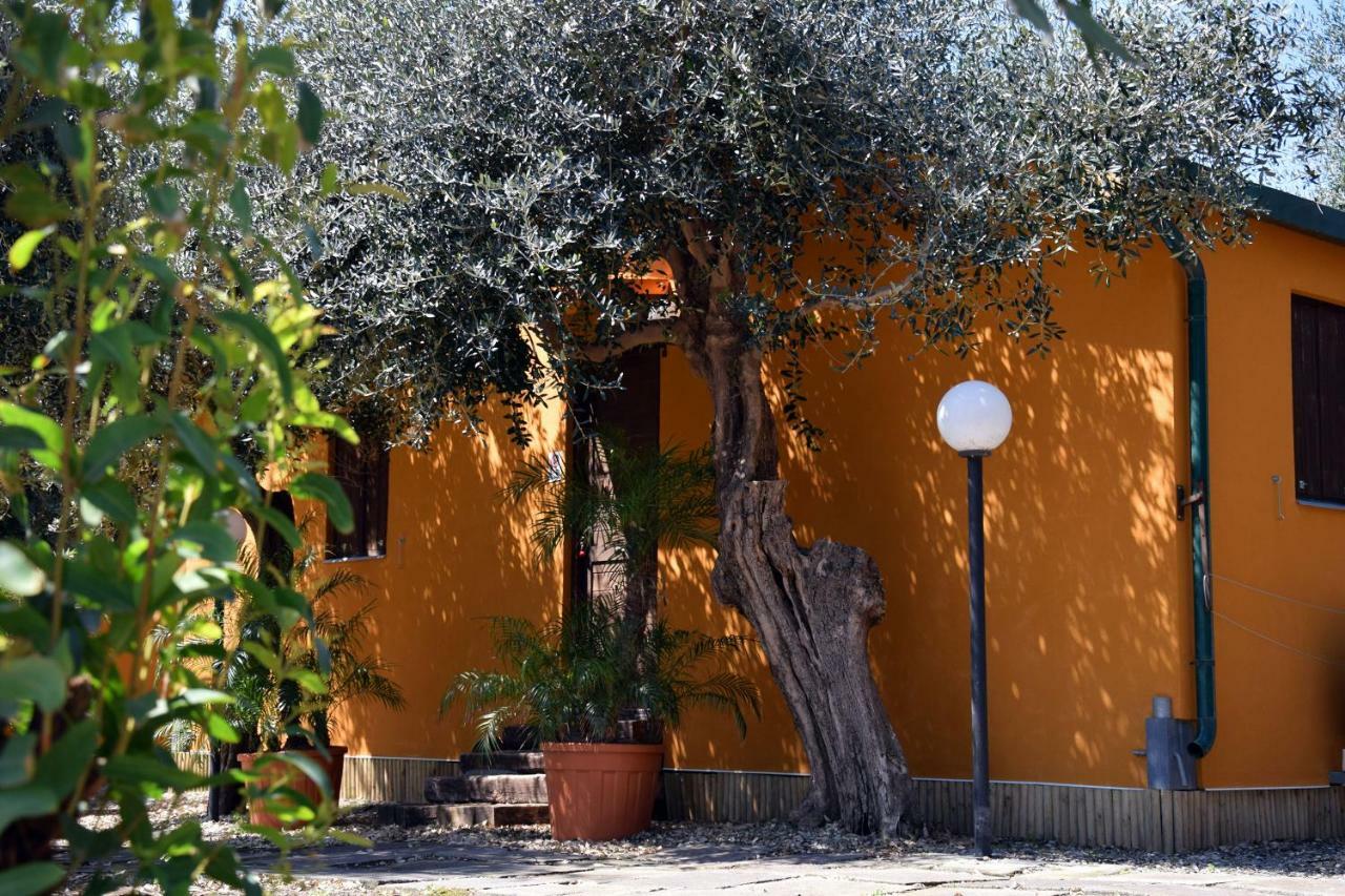אסראלה Riviera Degli Eucalipti - Cottage In Riva Al Mare מראה חיצוני תמונה