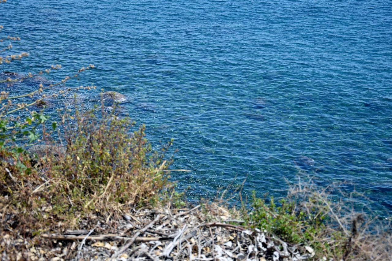 אסראלה Riviera Degli Eucalipti - Cottage In Riva Al Mare מראה חיצוני תמונה